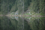 lac